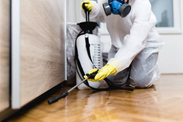 Best Pest Removal Services  in Chester, NY