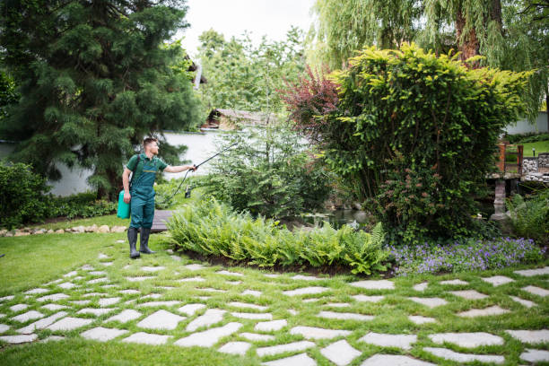 Best Exterminator Services  in Chester, NY