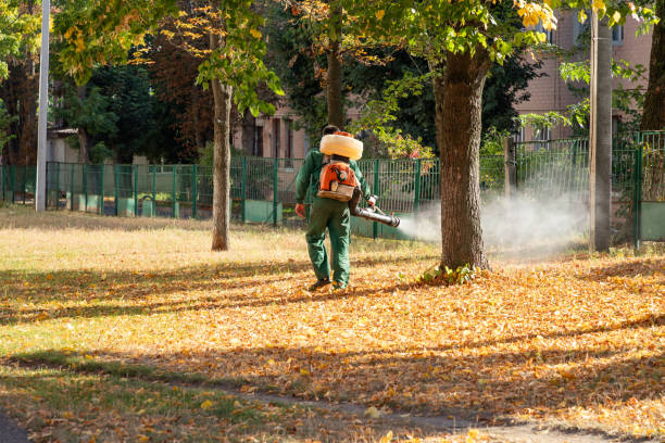 Best Exterminator Services  in Chester, NY